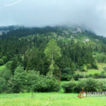 Trabzon Kamp Alanları