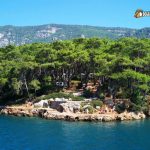 Akyaka Orman Kampı