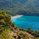 kabak-koyu