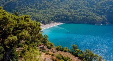 kabak-koyu