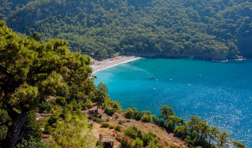 kabak-koyu